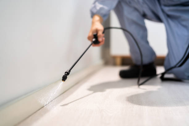 Licensed Pest Control service in Holyoke, CO - Show Me Pest Control